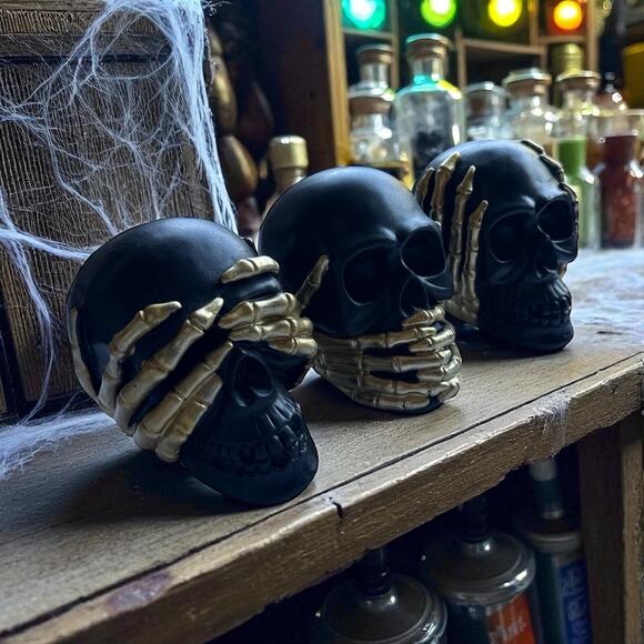 See no evil, hear no evil, speak no evil skulls - Picture 1 of 6